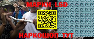 прущие грибы Кингисепп