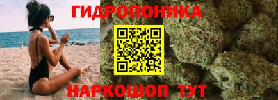 сатива Кимры
