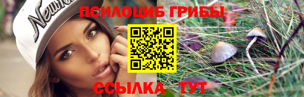 Галлюциногенные грибы прущие грибы Георгиевск